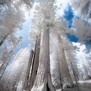 Meet your Posher, Cristian